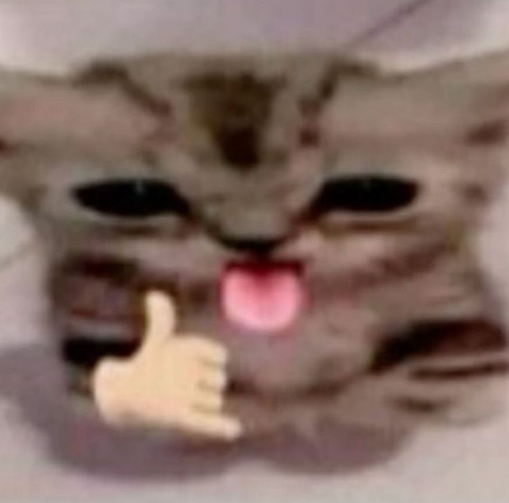 Meloniya°^°