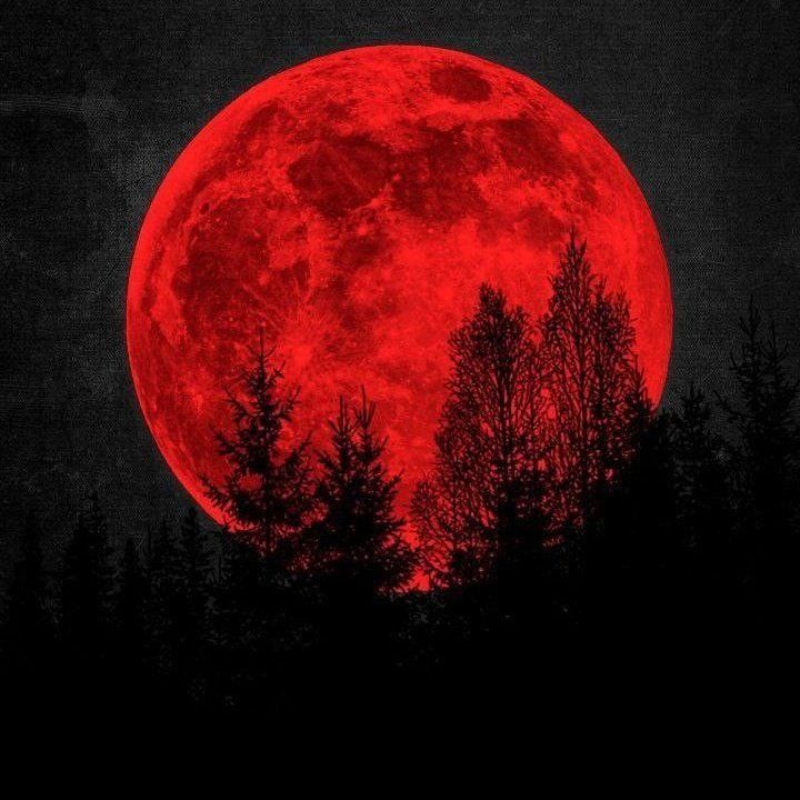 kawai-moon