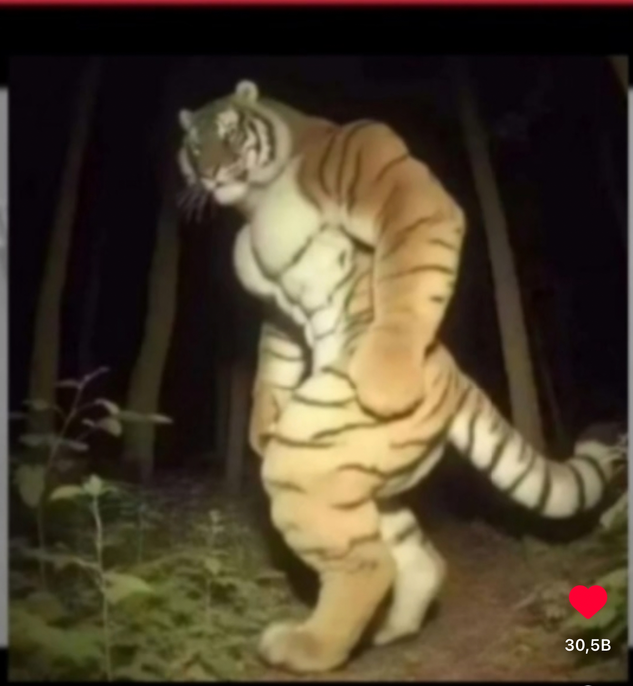 sukrukaan123