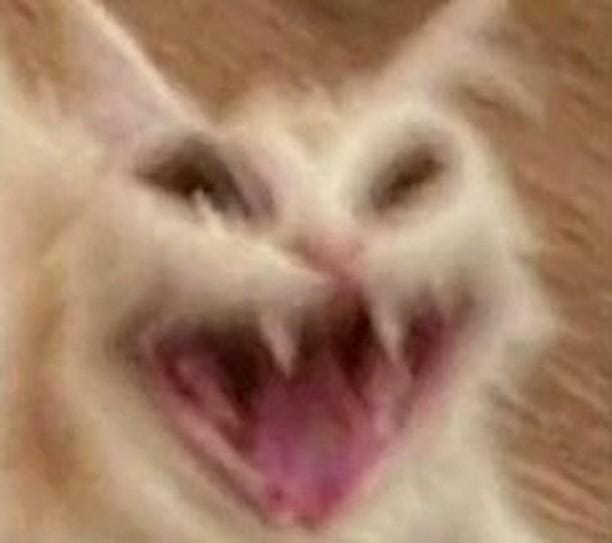 bseries_