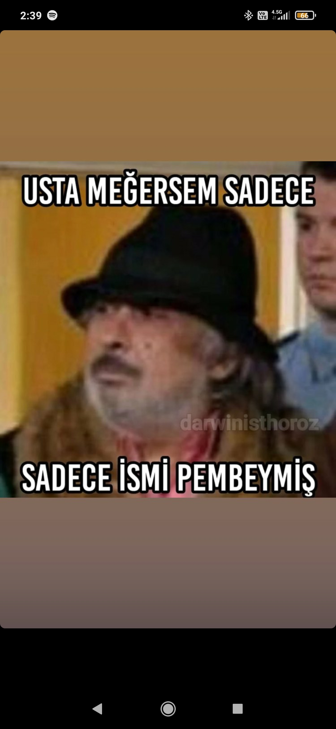 sonoflogan