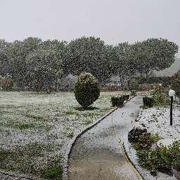 delioyuncu