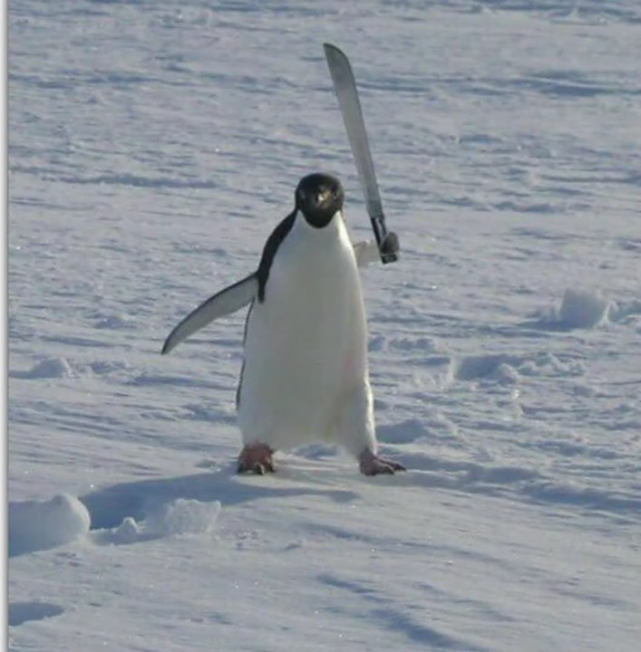 lord of the seven seas