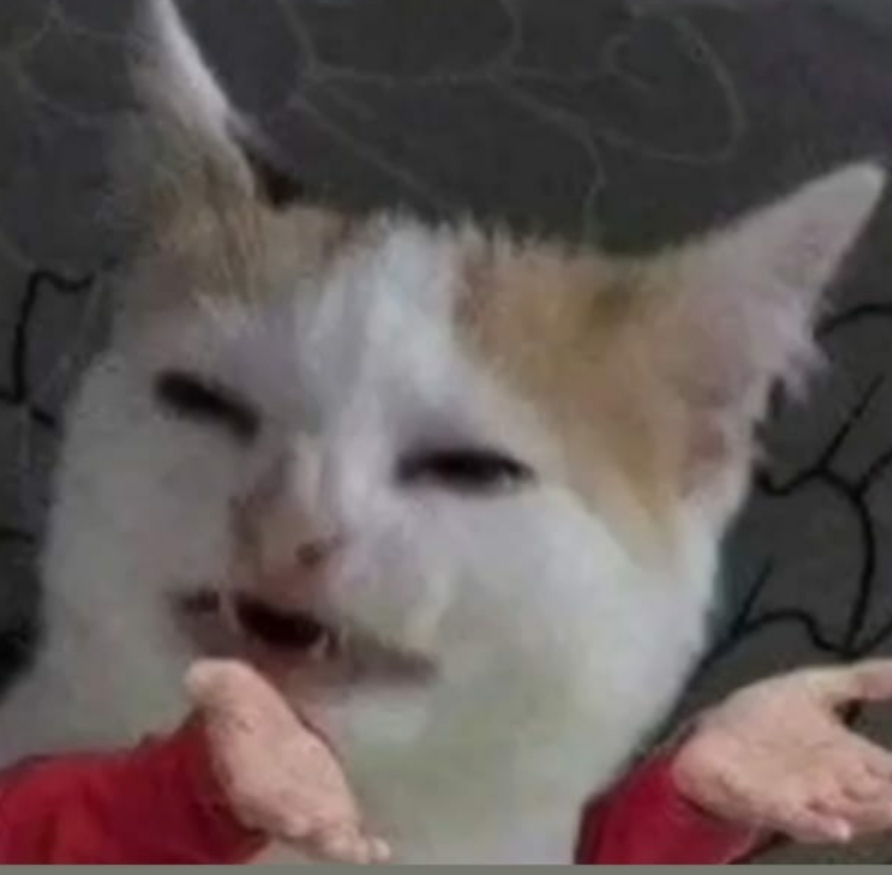 qullsahin
