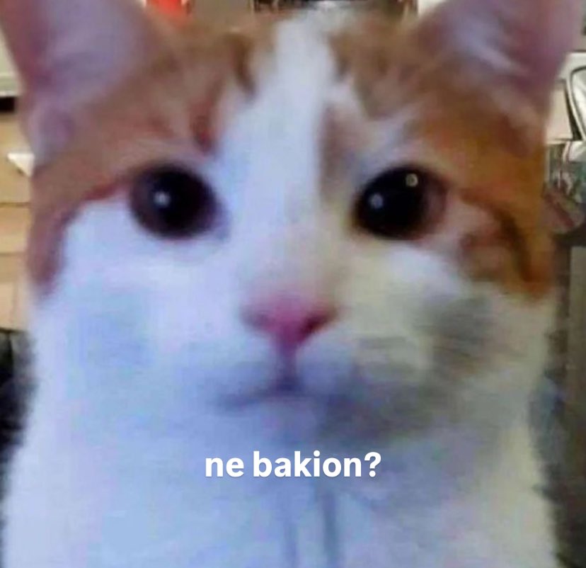 mervee.frt
