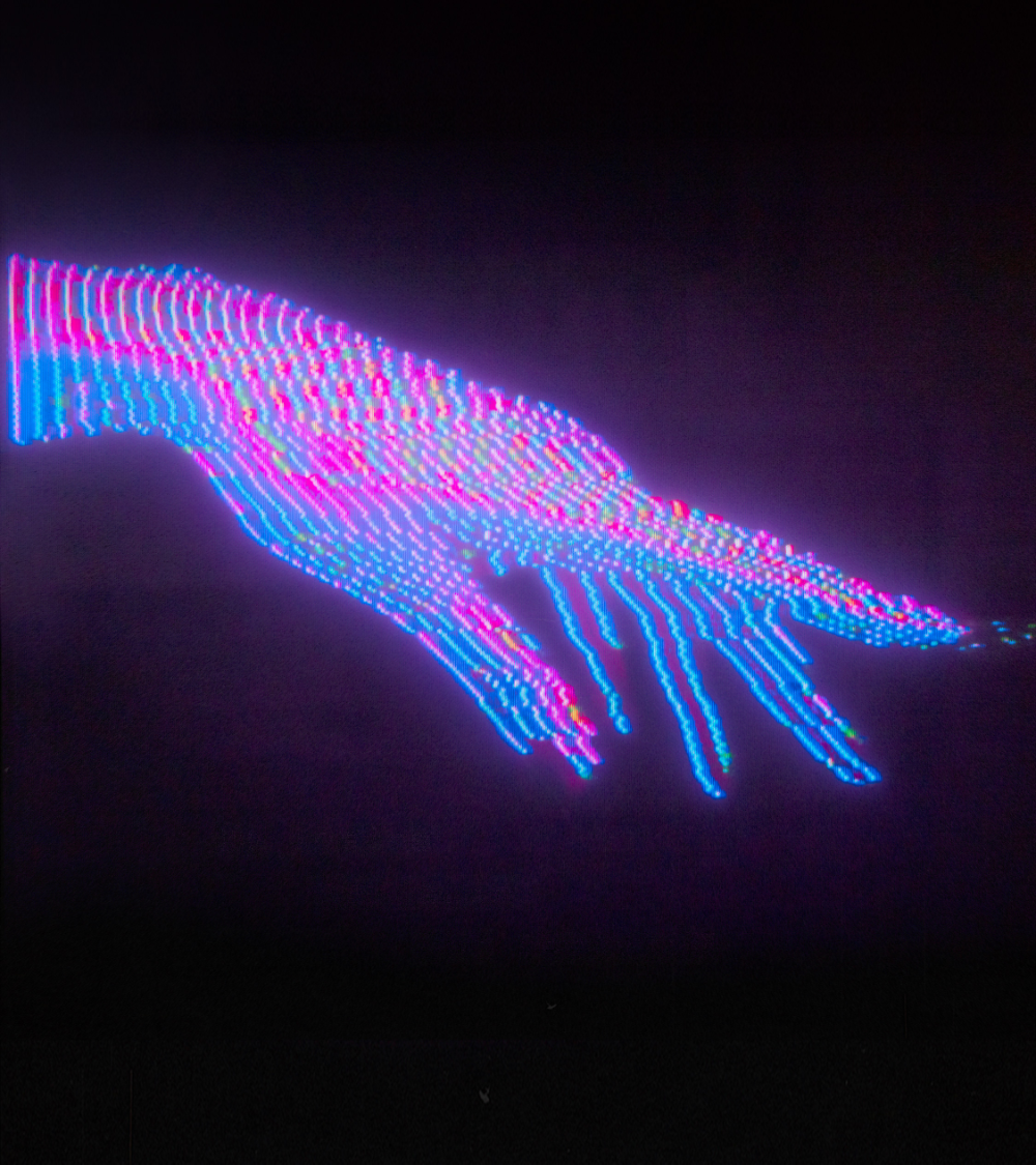 nfkdj01
