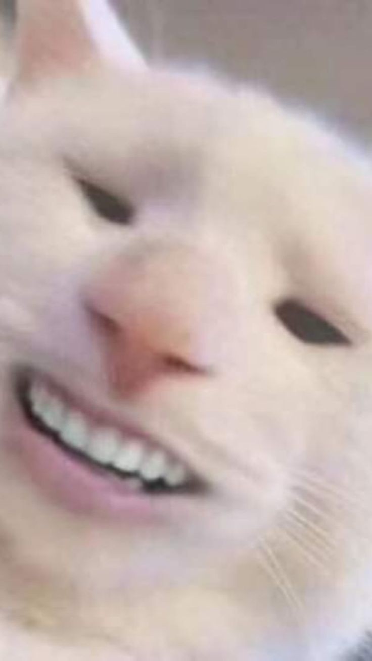 godhateshidal