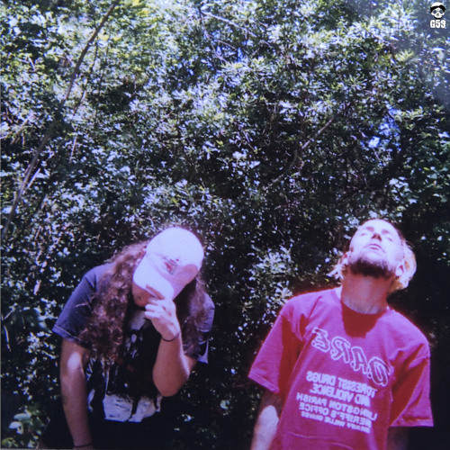 42407___ciddi