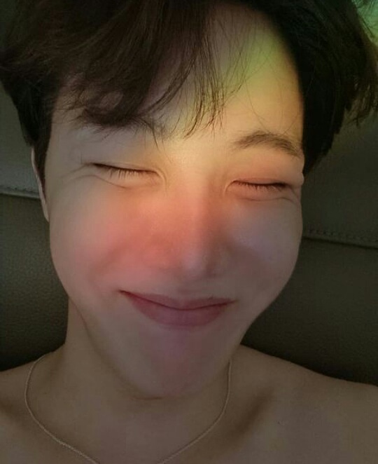 나무