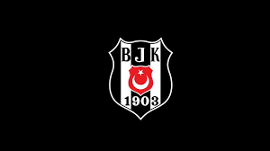 berkay6301