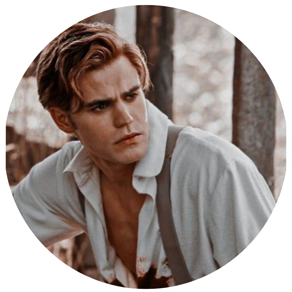 Tvd.vampr