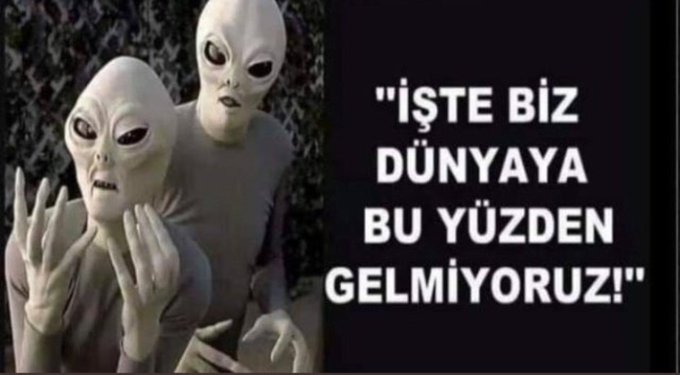 53981___cetintoptas