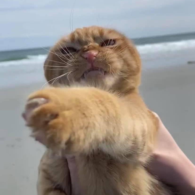 nurrtrkr