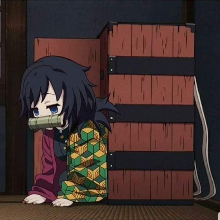 busukivi