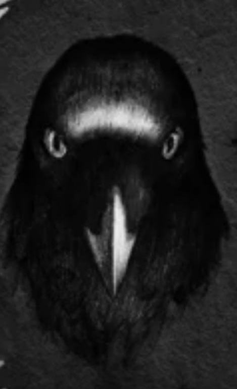Legend Crow