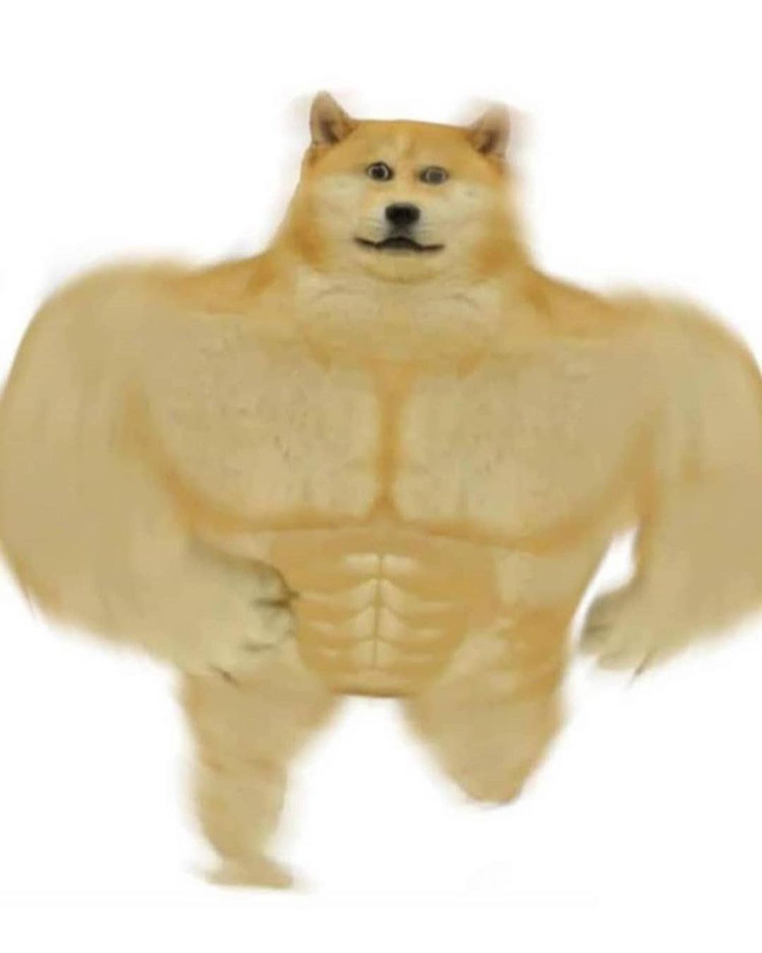 sefahub