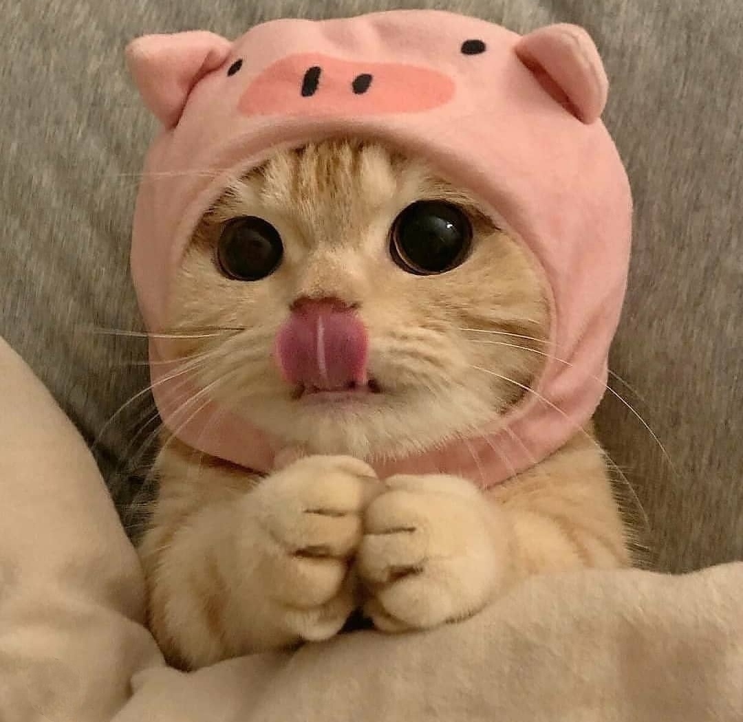 nhrdlmn