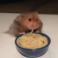 agwk